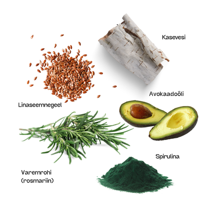 Varemerohuseep Orrawa
