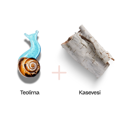 Taastav Teolimaseep Orrawa